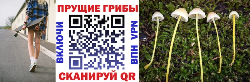 Галлюциногенные грибы Magic Shrooms  Купить где  Калач 